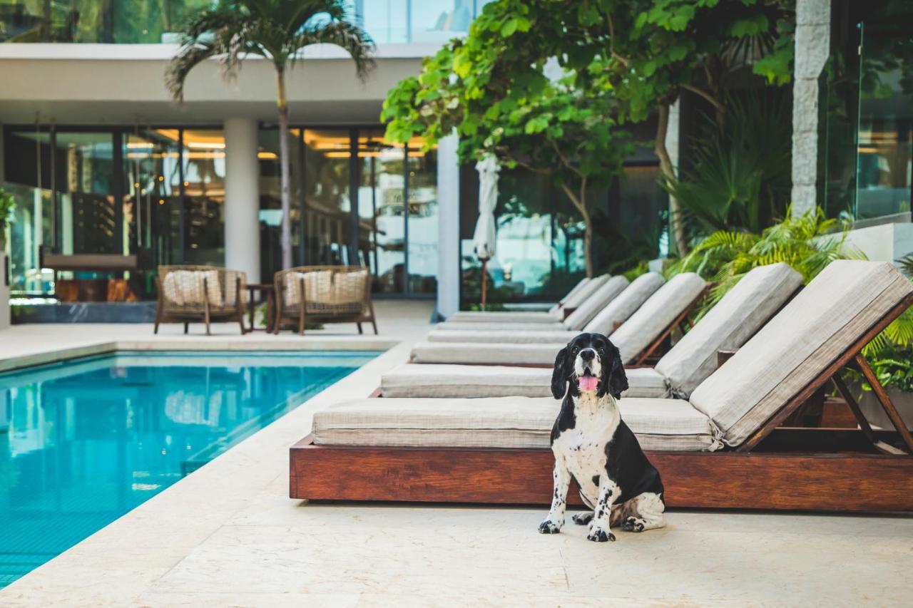 Thompson Playa Del Carmen Beach House, By Hyatt Екстериор снимка