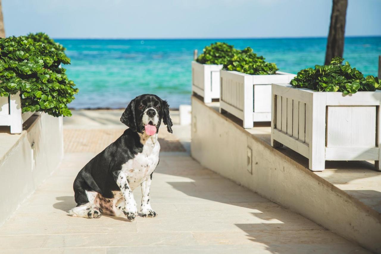 Thompson Playa Del Carmen Beach House, By Hyatt Екстериор снимка